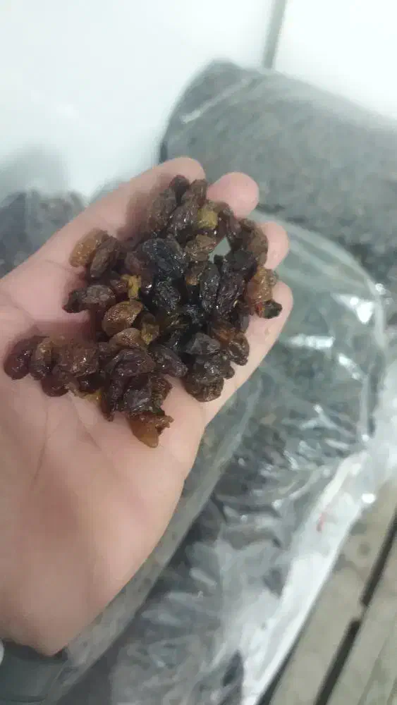 کشمش آفتابی درجه یک|خوردنی و آشامیدنی|مهریز, |دیوار