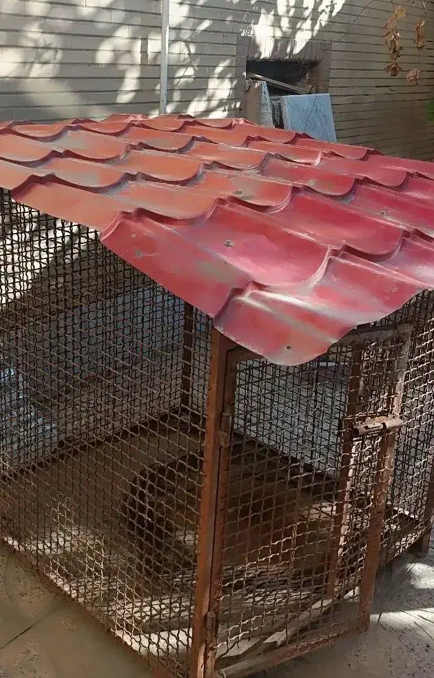 قفس و لانه حیوانات|لوازم جانبی حیوانات|فولادشهر, B2|دیوار