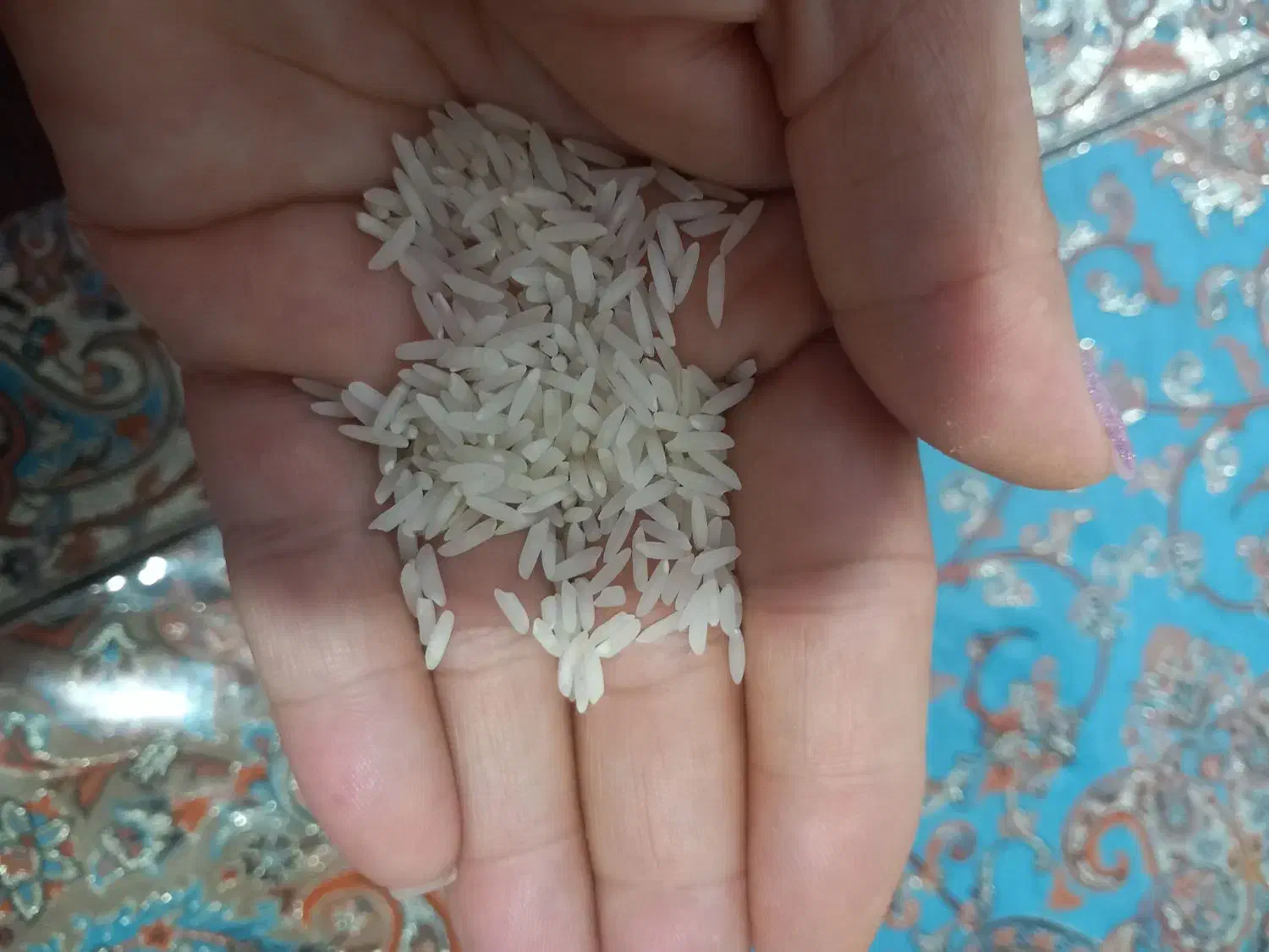 برنج هاشمی|خوردنی و آشامیدنی|شلمان, |دیوار