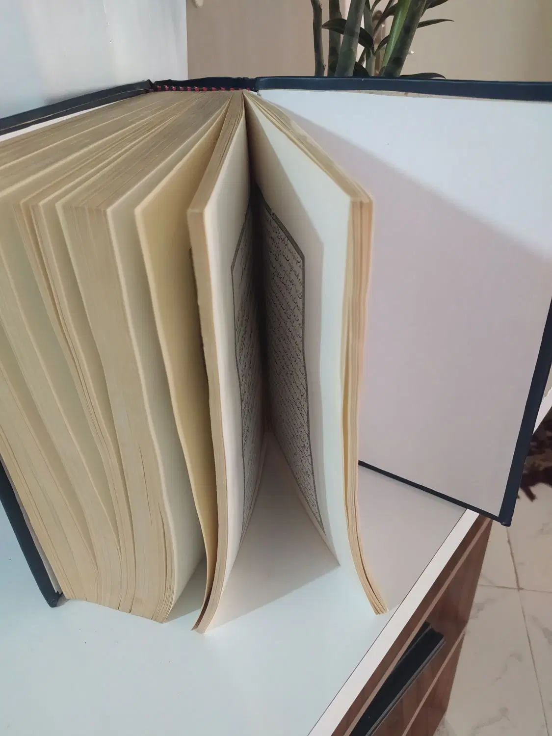 کتاب|کتاب و مجله مذهبی|شهریار, شهریار|دیوار