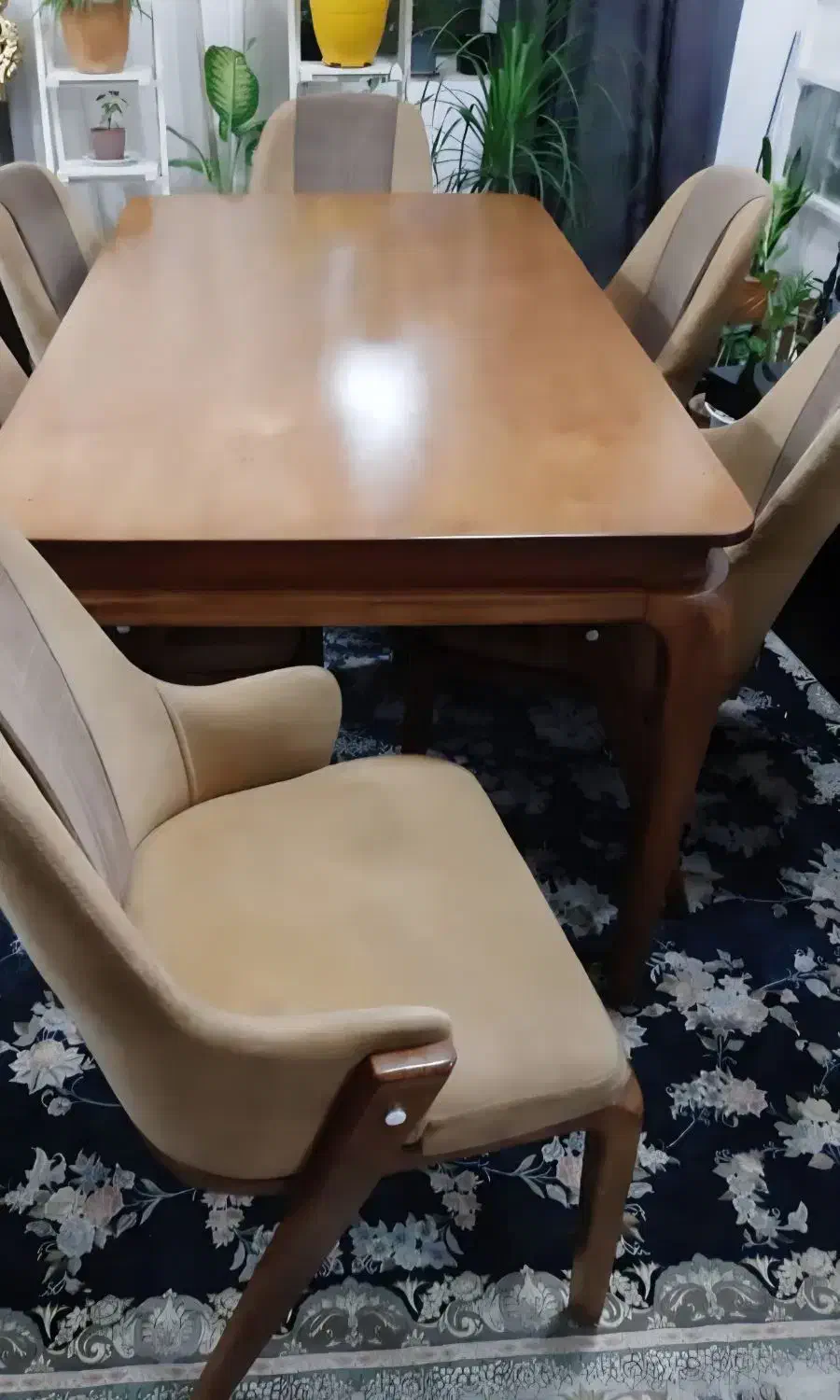 میز غذا خوری  ۶ نفری|میز و صندلی غذاخوری|دزفول, |دیوار