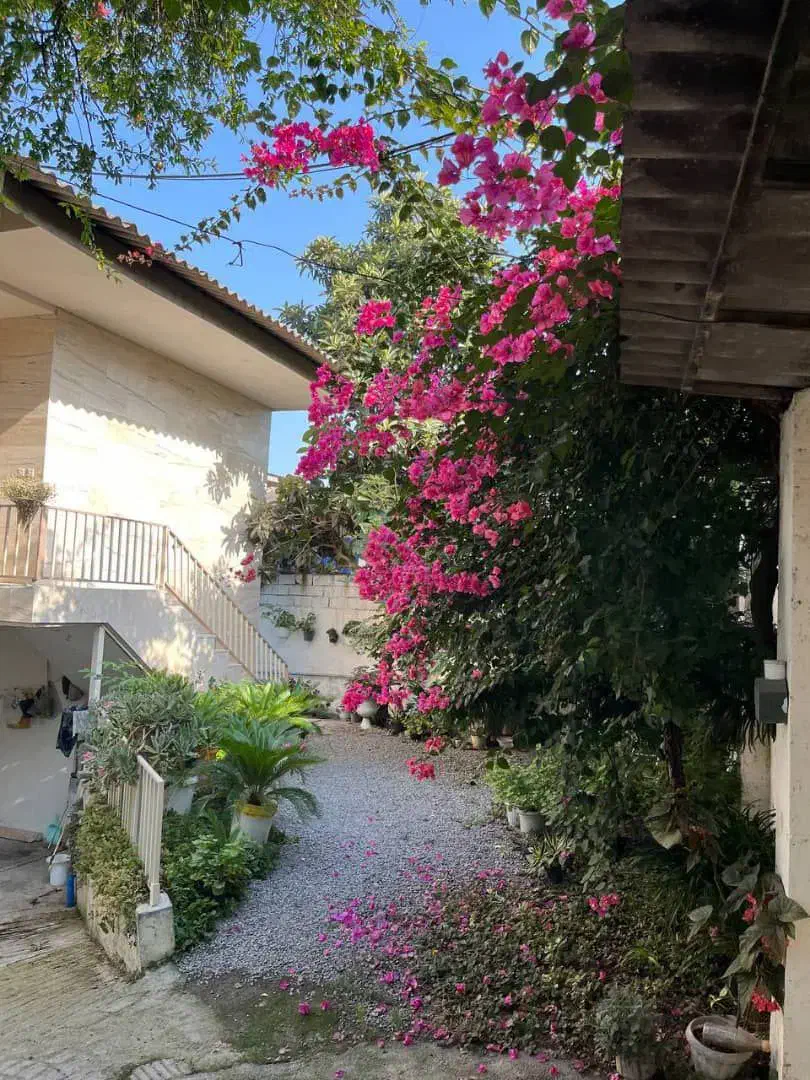 ویلاباغ جنگلی / مستقل / مدارک کامل|فروش خانه و ویلا|امامزاده عبدالله, |دیوار