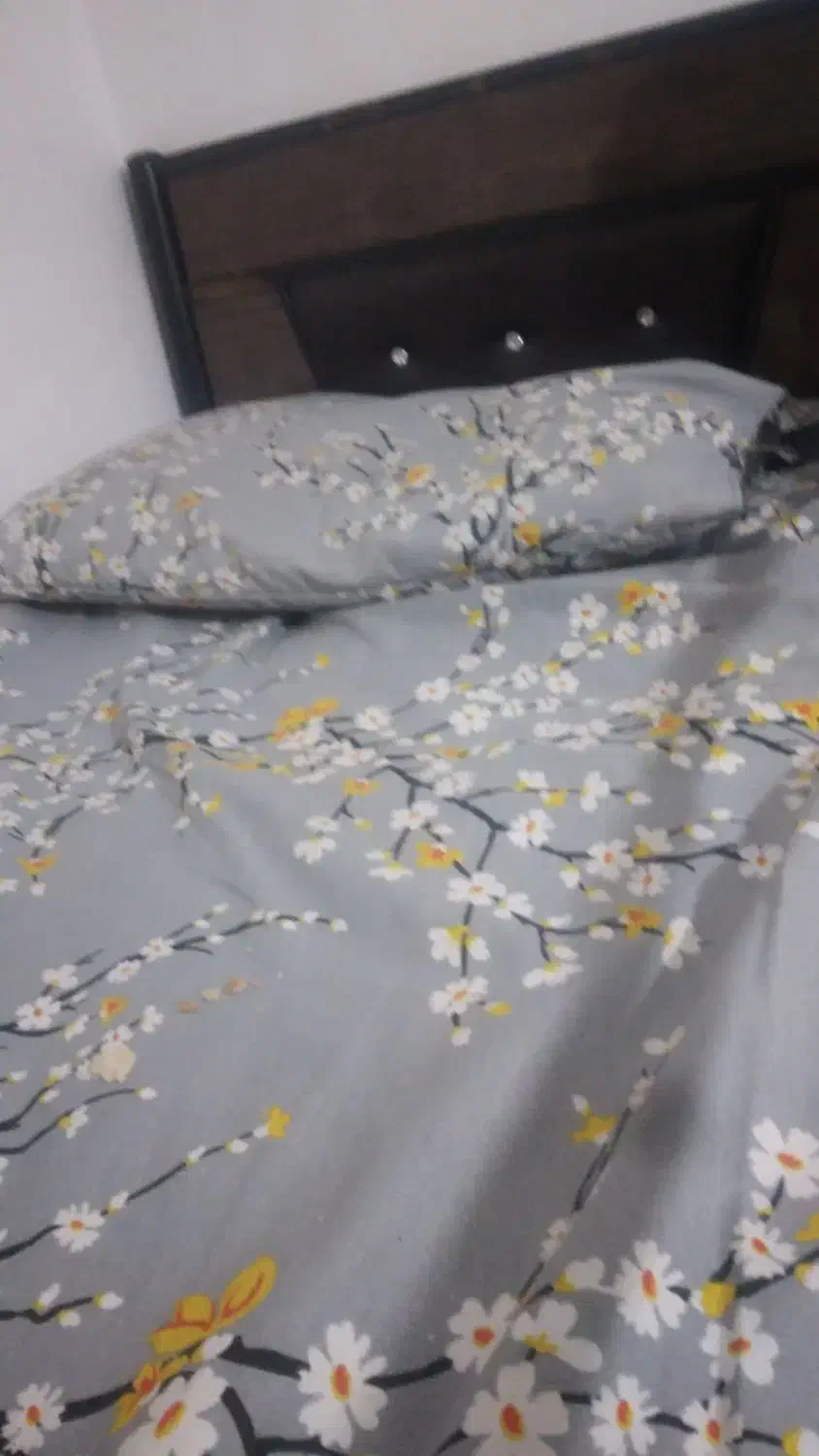 تخت دوطبقه|تخت و سرویس خواب|تربت‌حیدریه, یحیی آباد|دیوار