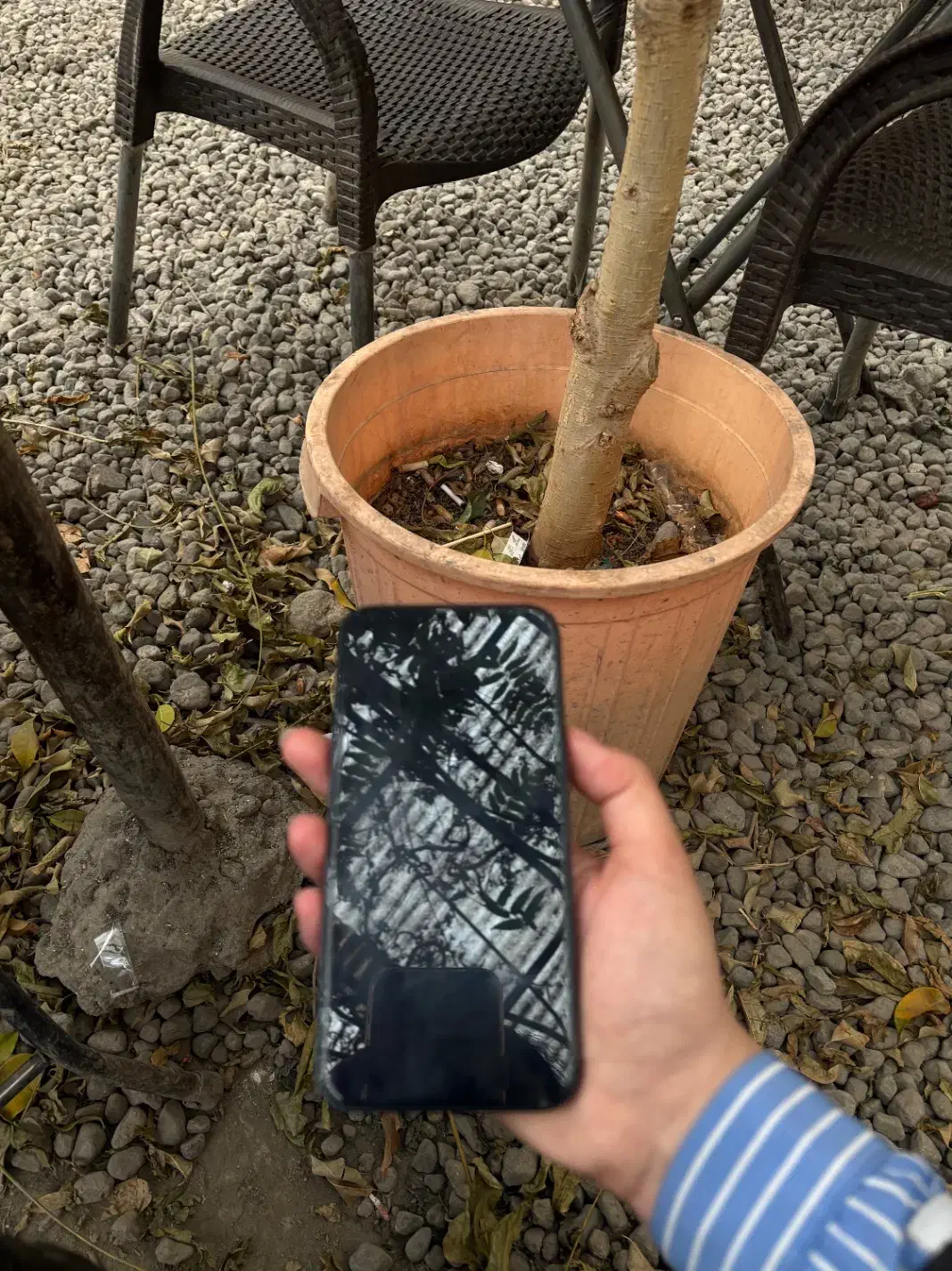 ایفون ۱۳|موبایل|تبریز, |دیوار