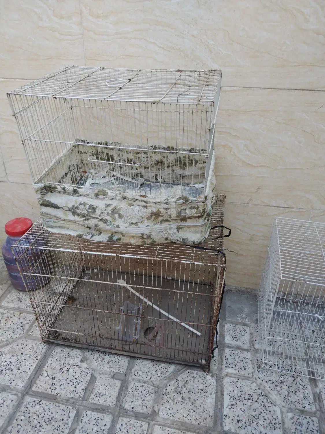 چند عدد قفس|لوازم جانبی حیوانات|مشهد, نوید|دیوار