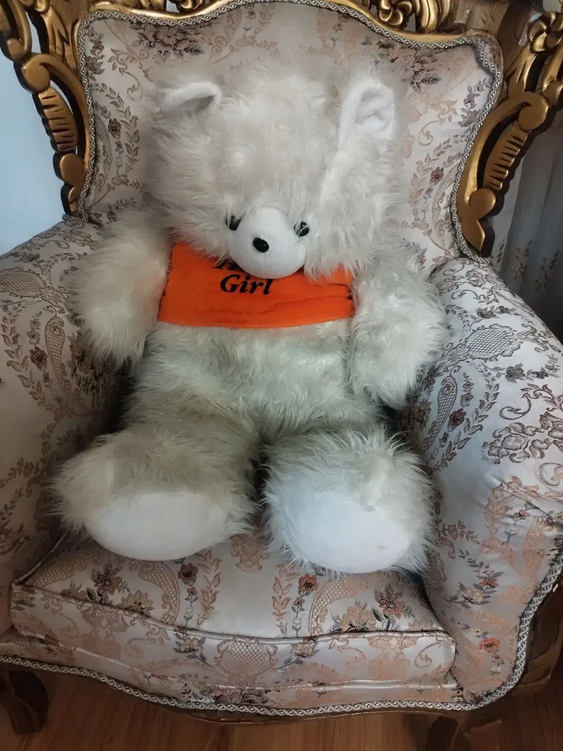 خرس پشمالو|اسباب‌‌بازی|تبریز, |دیوار