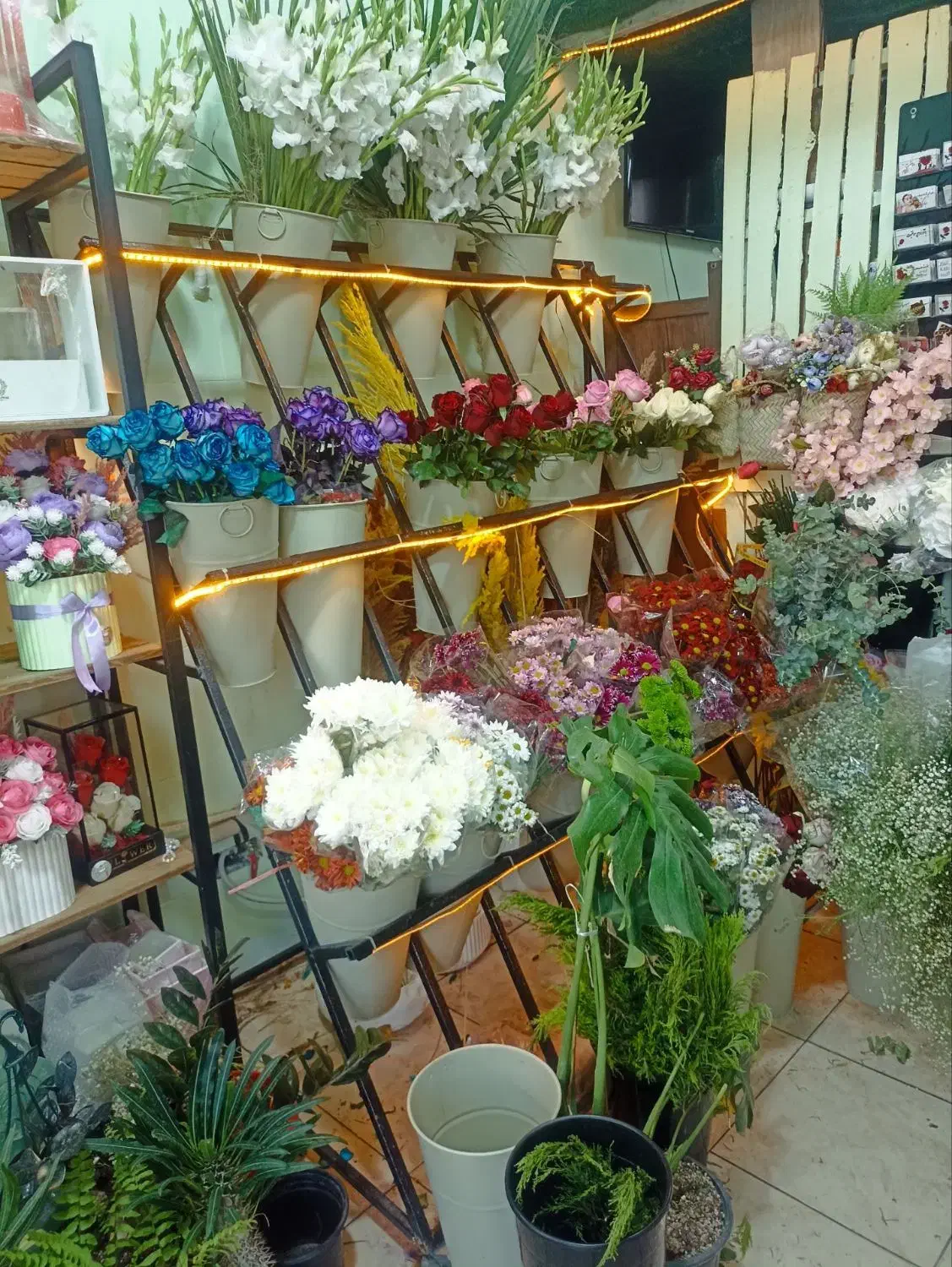 پایه گلدان|کتابخانه، شلف، قفسههای دیواری|نسیمشهر, |دیوار