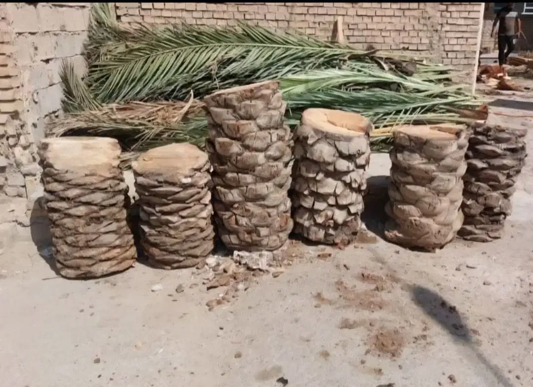 بریدن نخل و درخت قطع نخل حرس نخل سمپاشی نخل|خدمات باغبانی و درختکاری|اهواز, شهرک نفت|دیوار