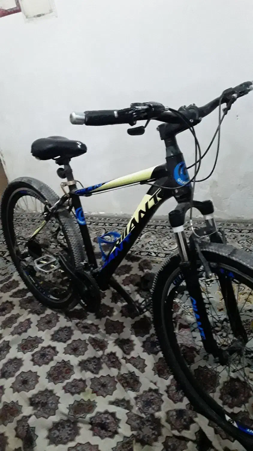 دوچرخه جاینت|دوچرخه، اسکیت، اسکوتر|تربت جام, میان جام|دیوار