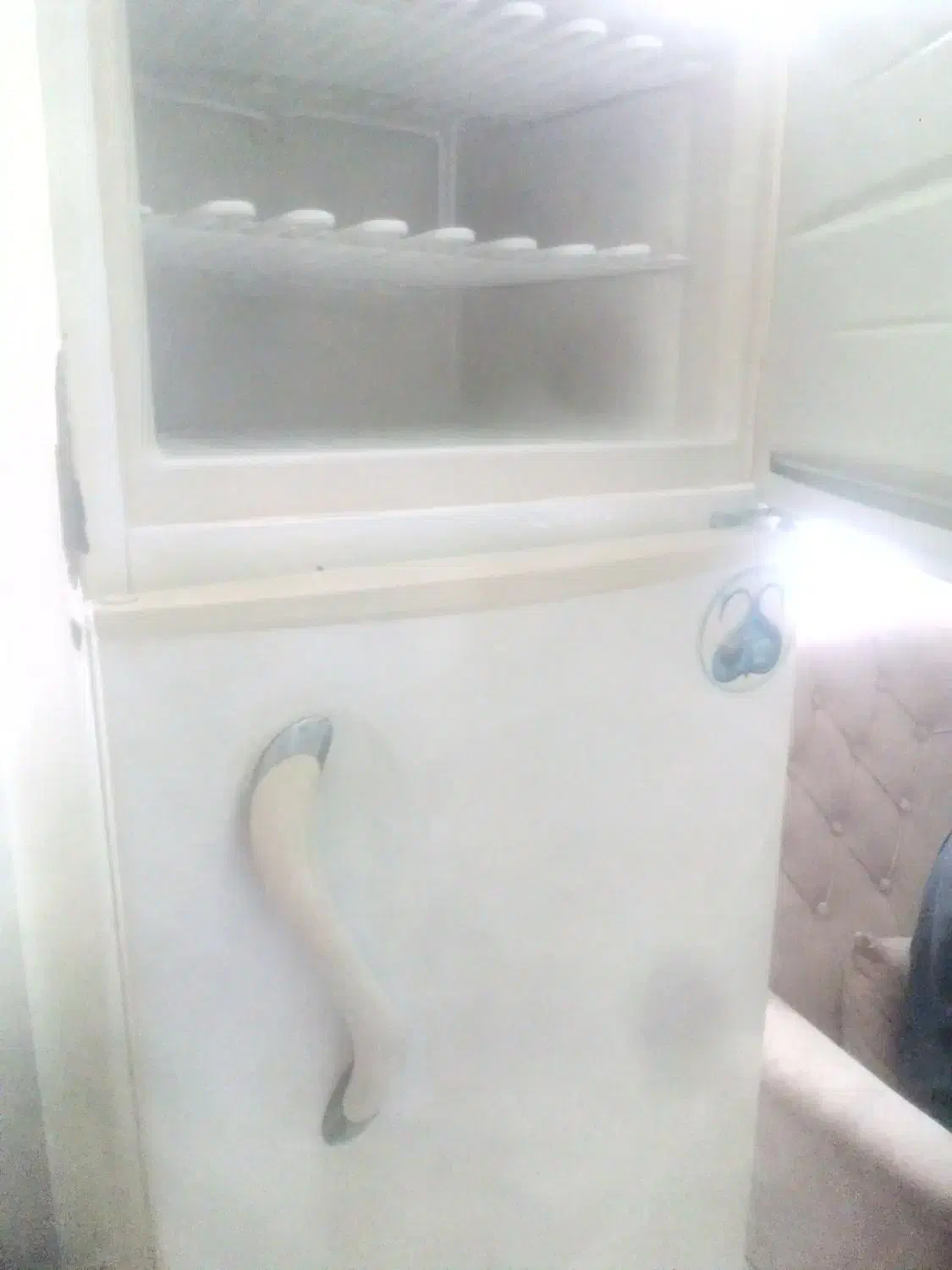 یخچال درحدنو|یخچال و فریزر|رشت, استقامت ۱|دیوار