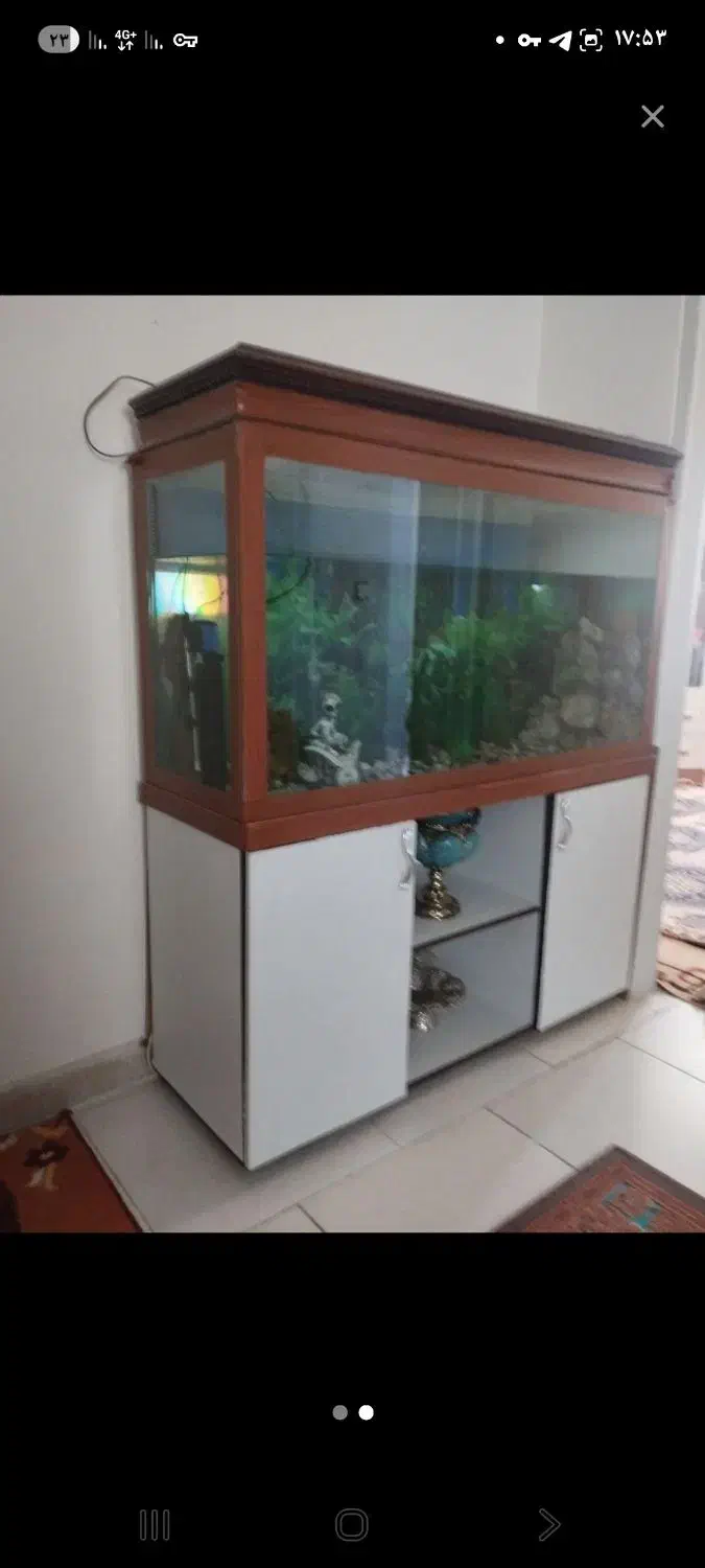اکواریوم ۱۲۰ سانتی|ماهی|همدان, |دیوار
