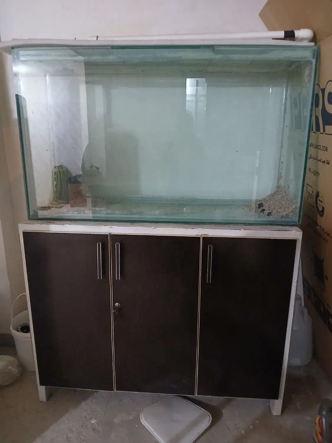 اکواریوم|ماهی|تویسرکان, |دیوار