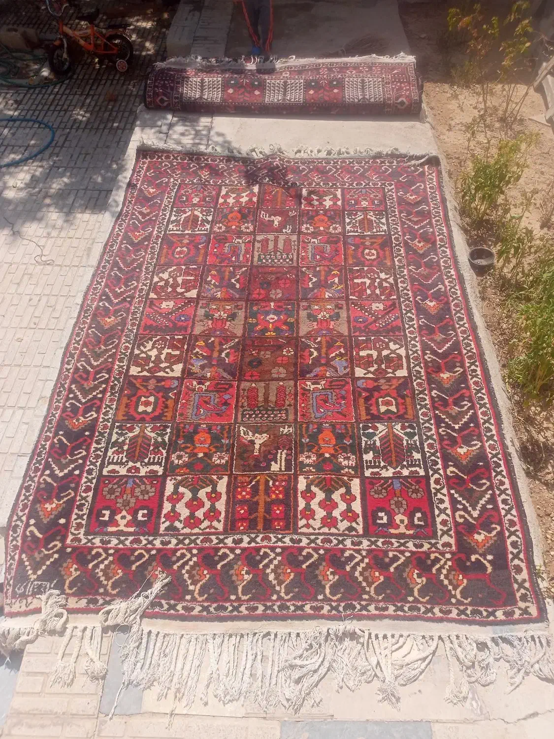 دو تخته فرش دستباف بی بی باف اردل|فرش|شهرکرد, |دیوار
