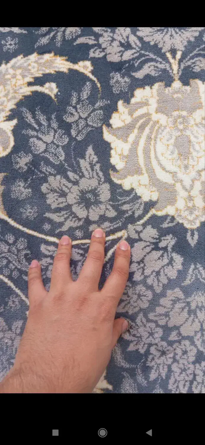 فرش 12 متری|فرش|قم, جوی شور|دیوار