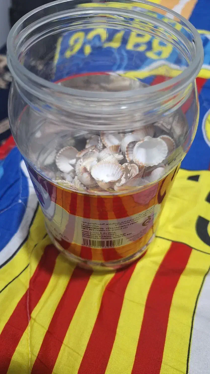 صدف|صنایع دستی و سایر لوازم تزئینی|اهواز, نادری|دیوار