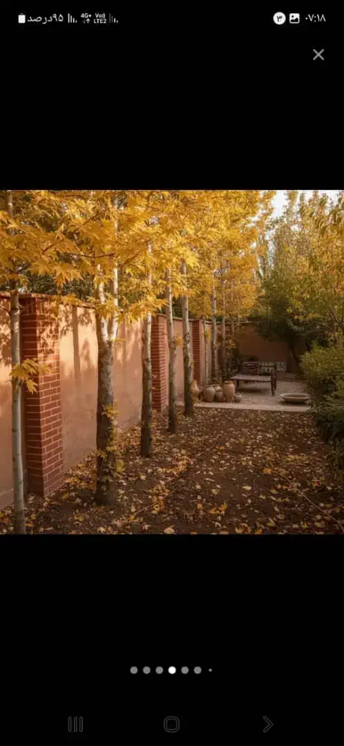 کاهگل مدرن نانو|خدمات پیشه و مهارت|بوشهر, |دیوار