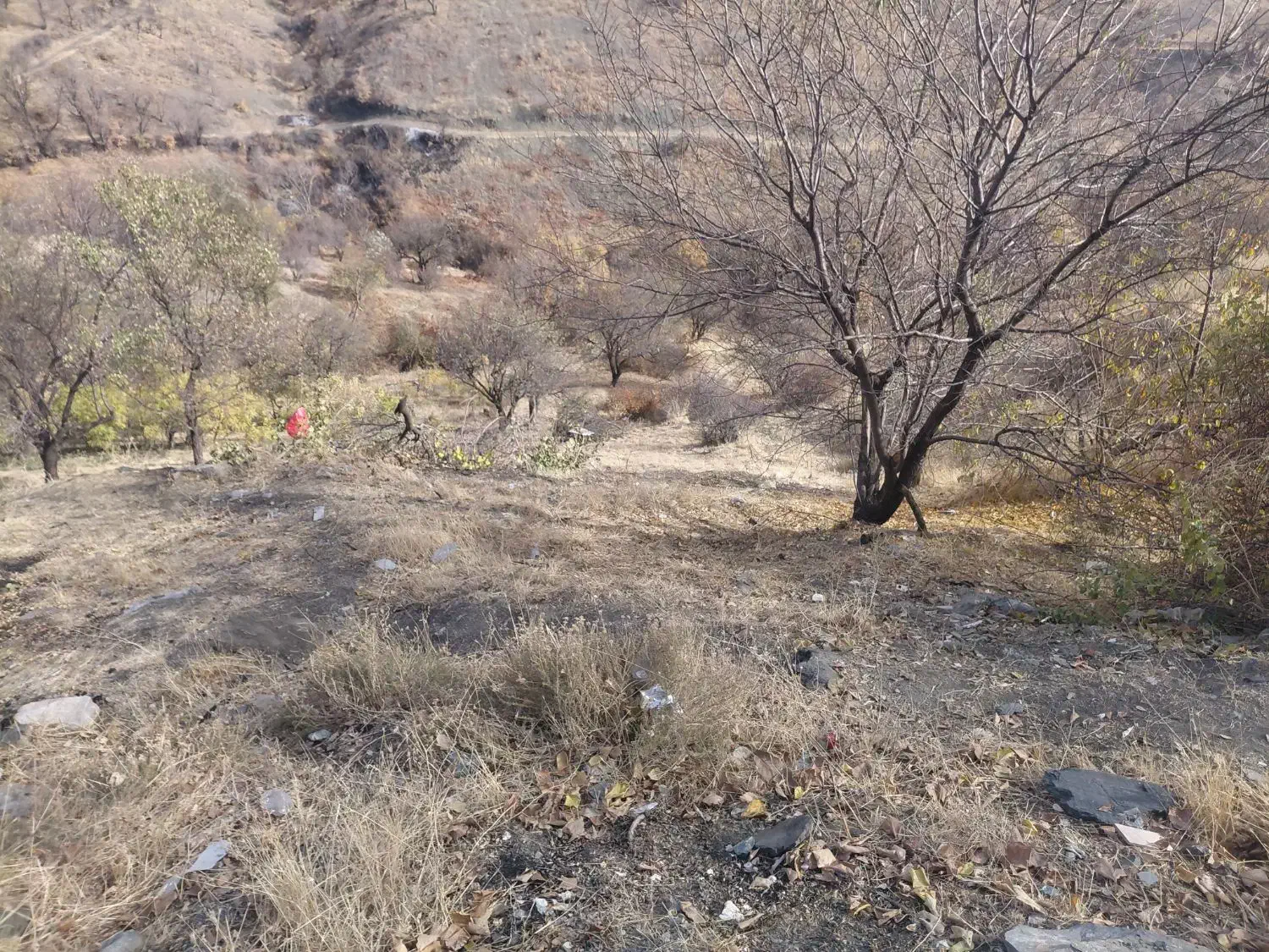 خانه کلنگی|فروش زمین و ملک کلنگی|سردشت, |دیوار