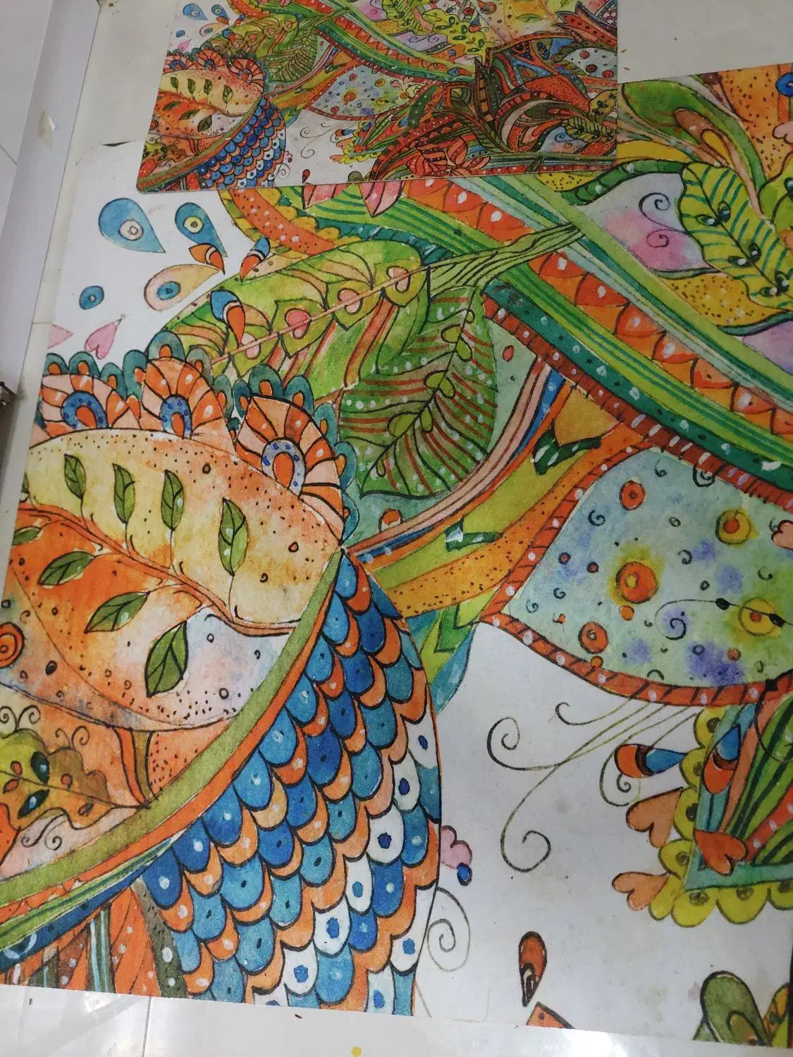 فرش آشپزخانه|فرش|شاهرود, |دیوار