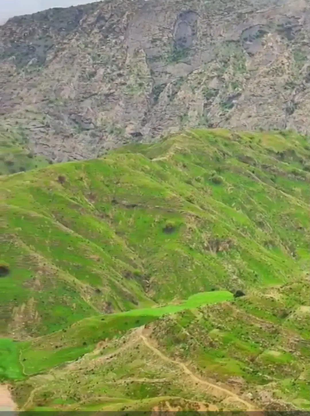 زمین ۳۰۰ متری پارک پردیس|فروش زمین و ملک کلنگی|بهبهان, |دیوار