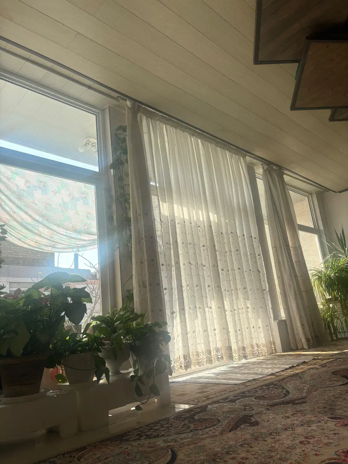 پرده کتان|پرده، رانر، رومیزی|خمینیشهر, |دیوار