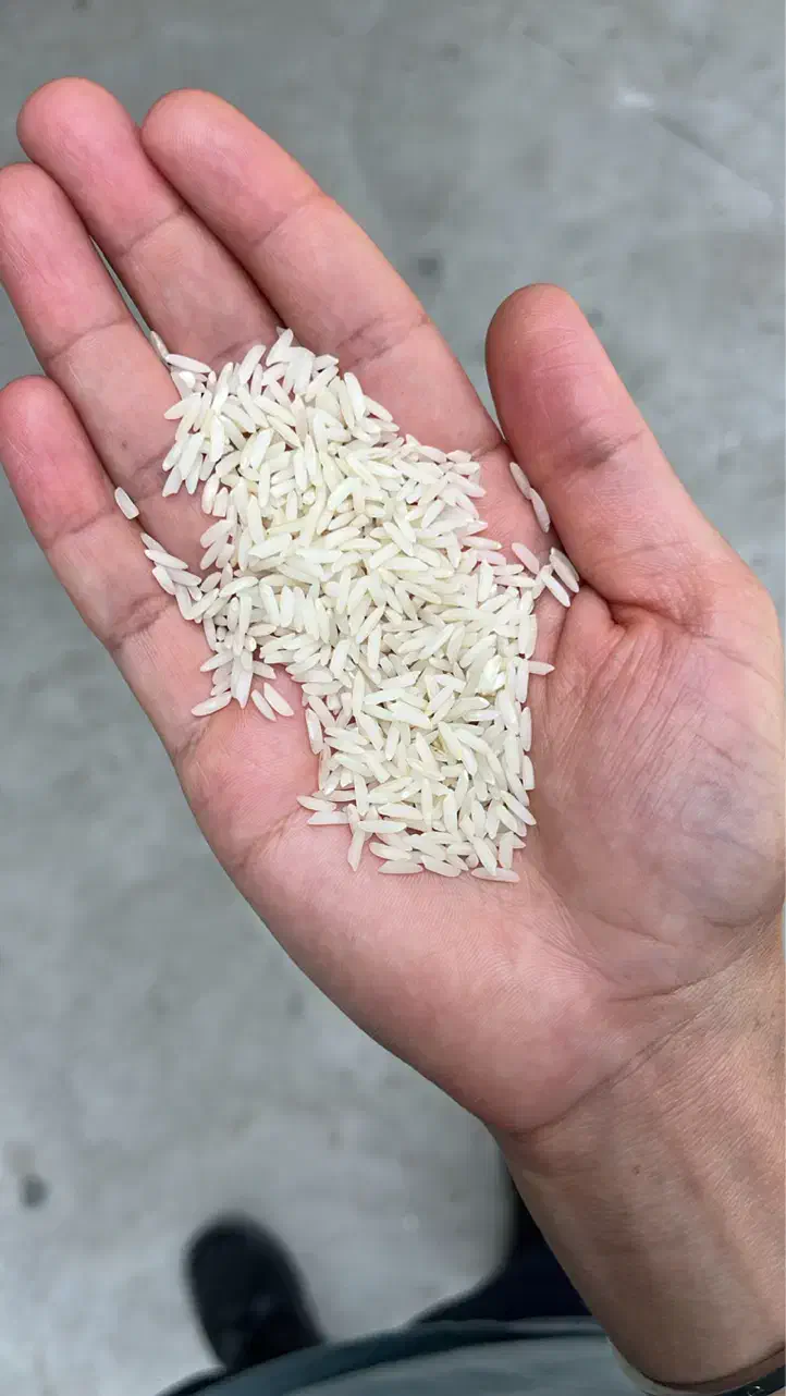 برنج کشت یکطارمهاشمی|خوردنی و آشامیدنی|یزد, |دیوار