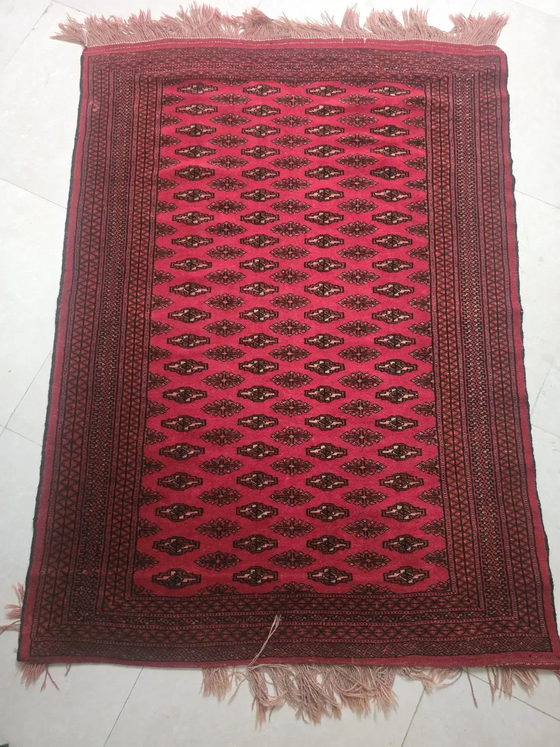 قالیچه دستی|فرش|مشهد, رضاشهر|دیوار