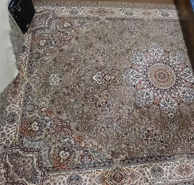 فرش ۶ متری|فرش|خمین, |دیوار