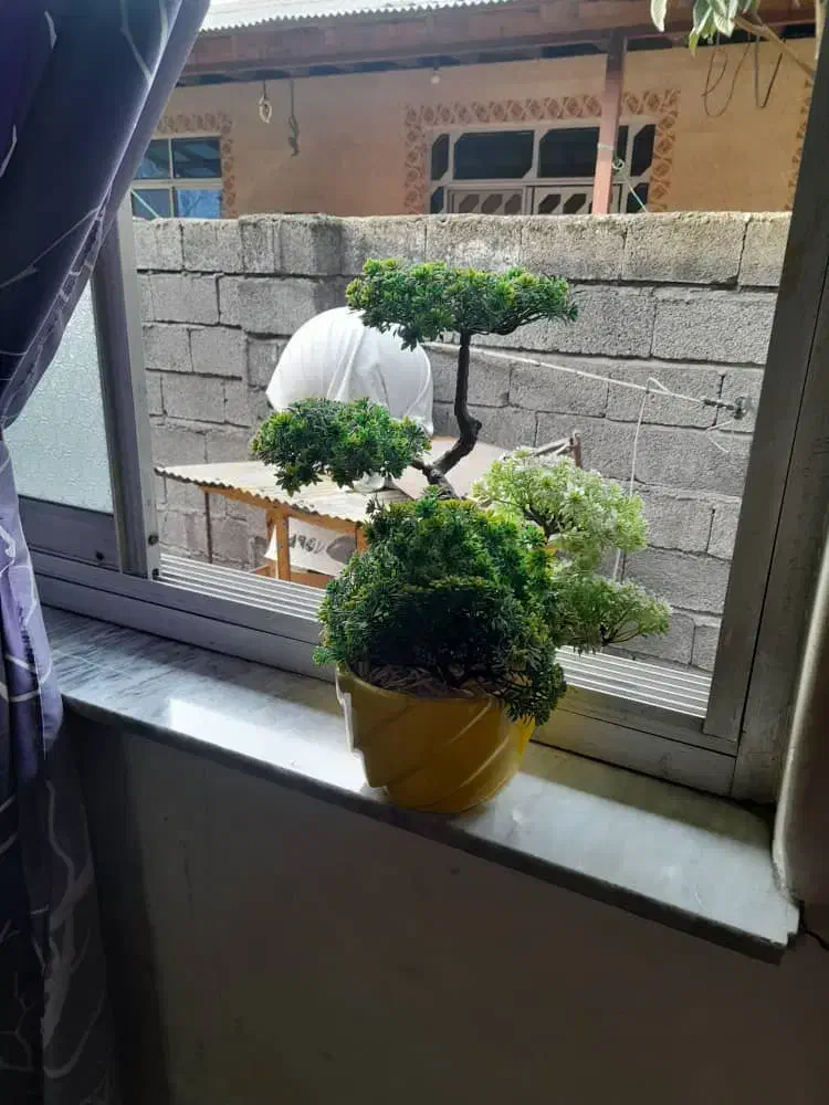 گل مصنوعی|گل مصنوعی|لاهیجان, طالقانی|دیوار