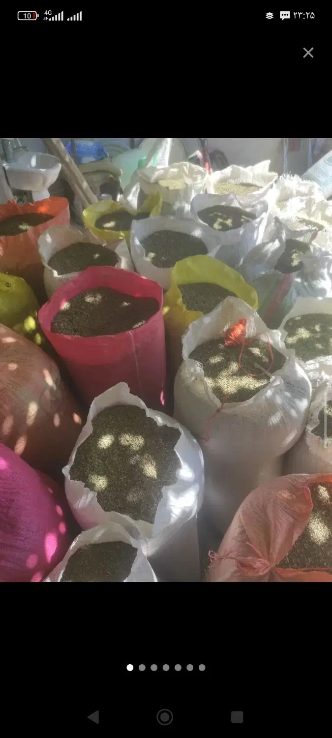 کاکوتی|عمده‌فروشی|چهاردانگه (آذربایجان), |دیوار