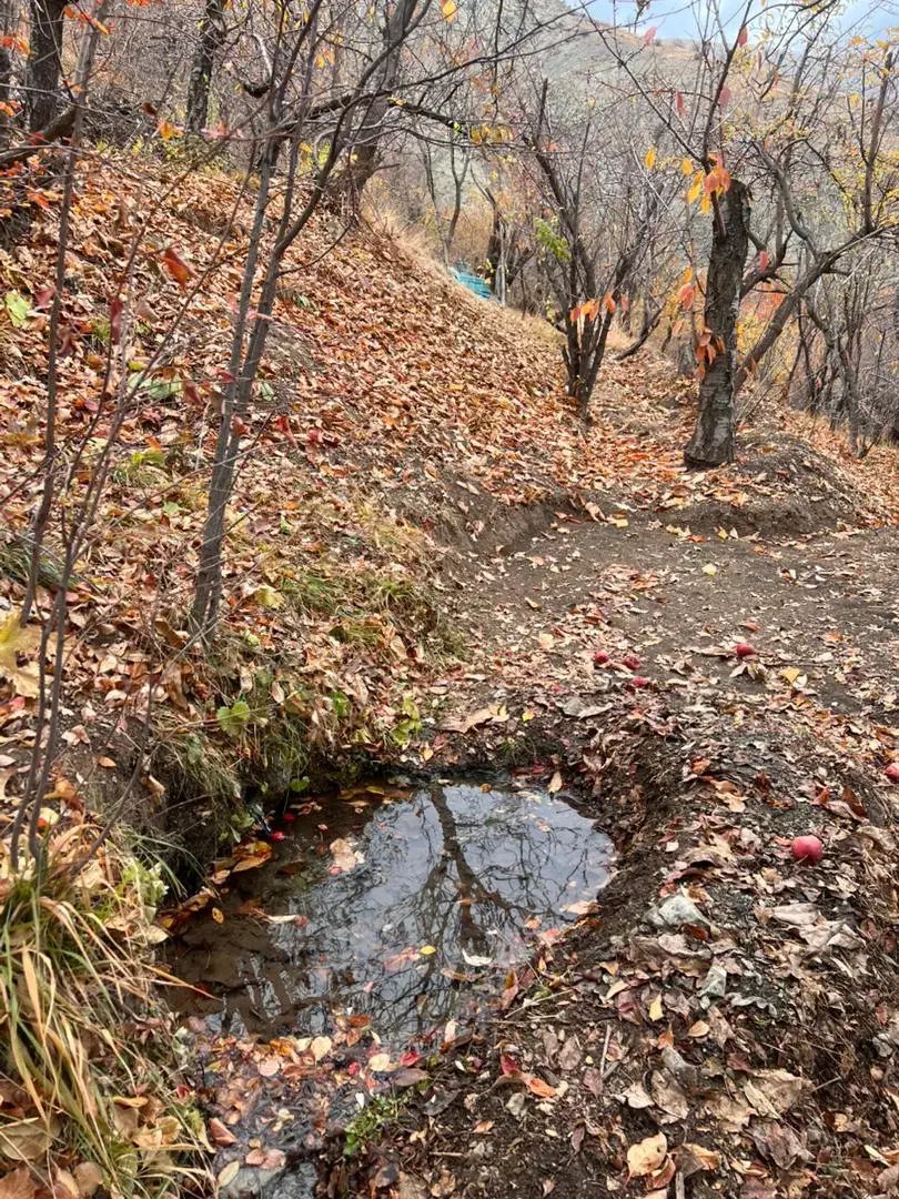 ۱۰۰۰متری روستای کلوان|فروش زمین و ملک کلنگی|آسارا, |دیوار