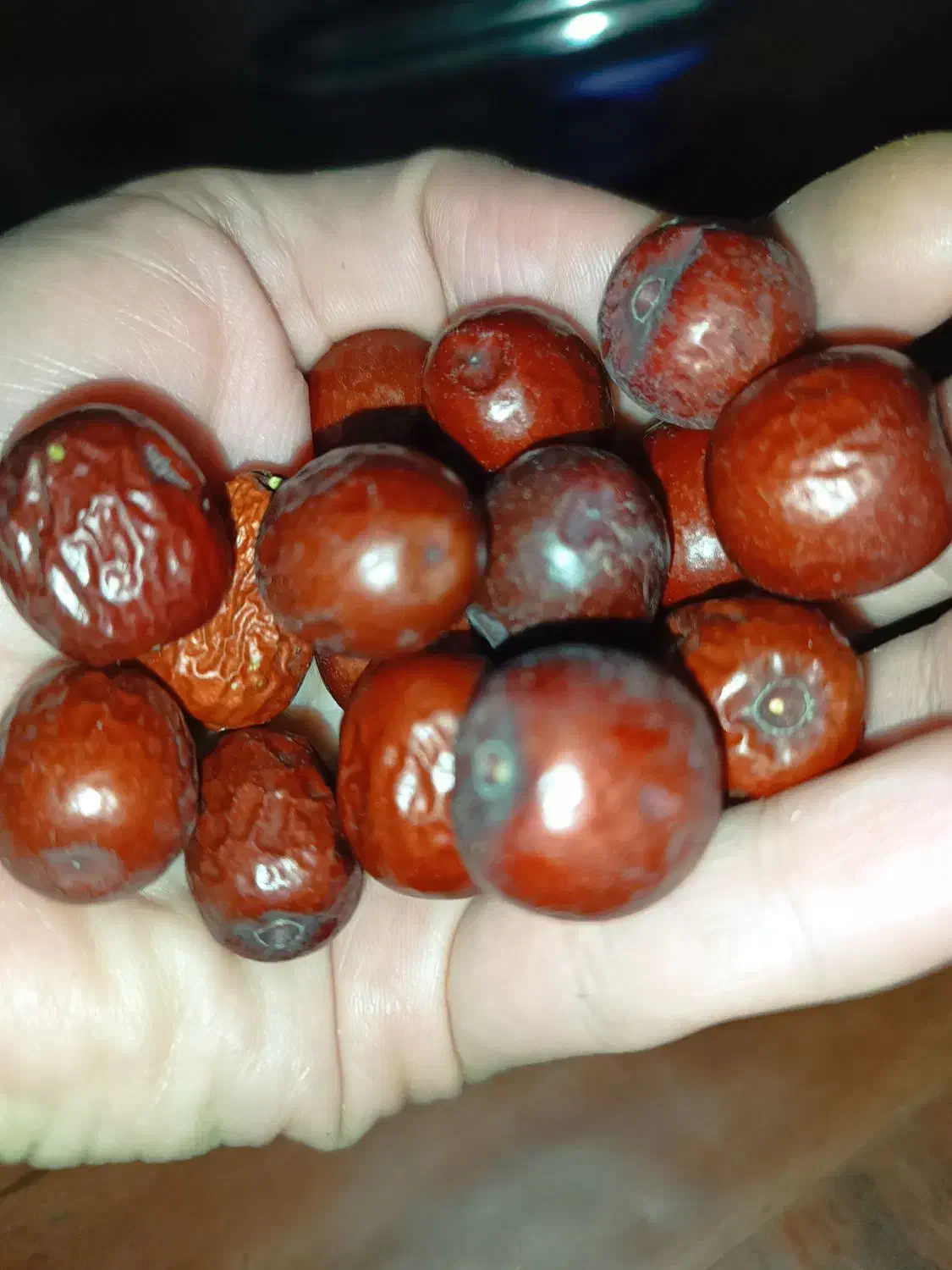 عناب امسال بیرجند|خوردنی و آشامیدنی|قم, نوبهار|دیوار