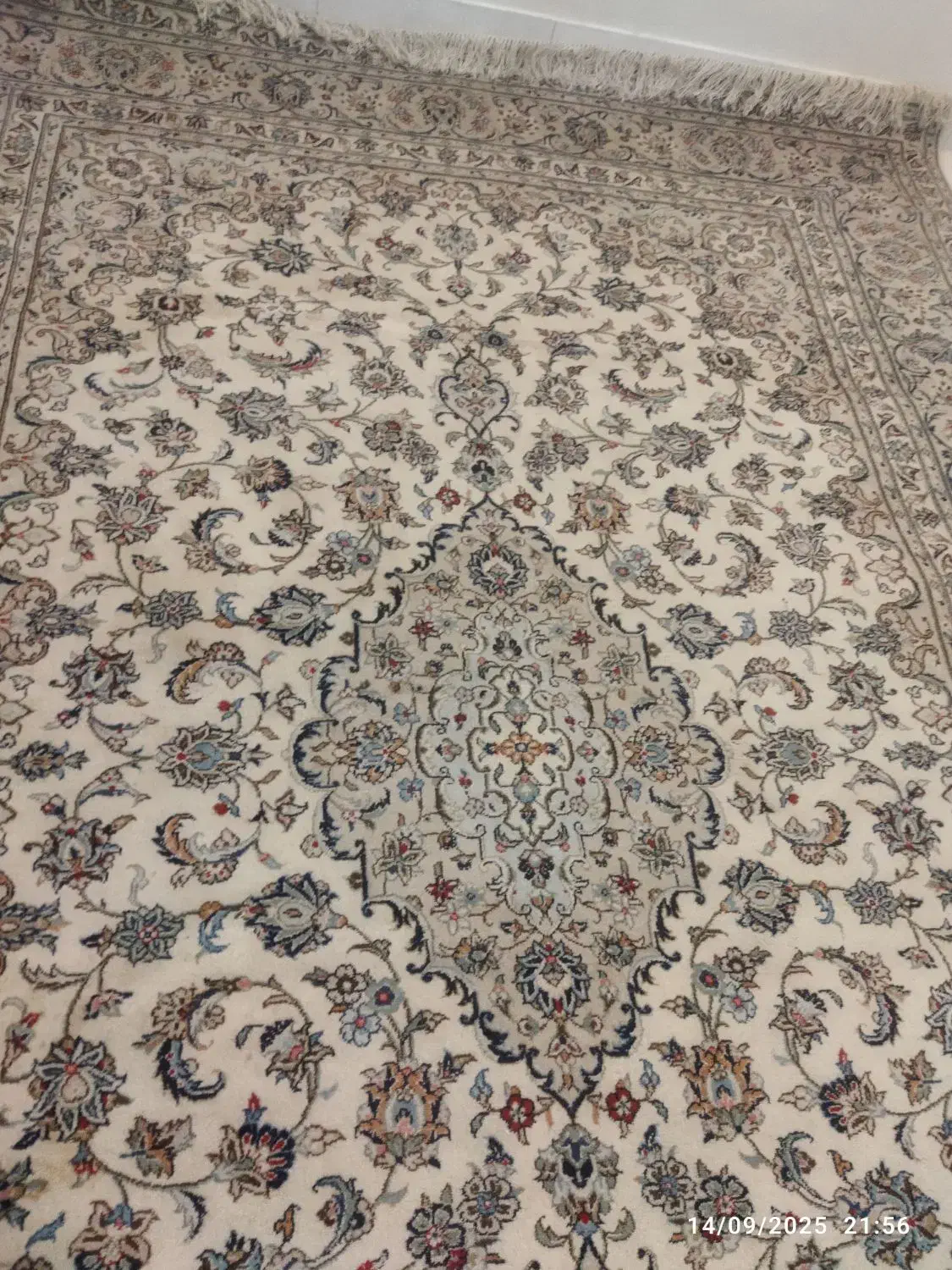 فرش دستباف کرم تمیز نو اردکان|فرش|اصفهان, خواجه عمید|دیوار