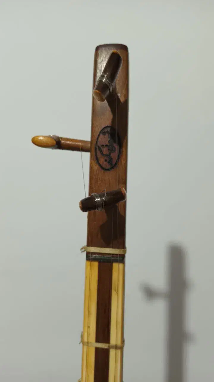 تنبور|سازهای سنتی|کرج, باغستان|دیوار