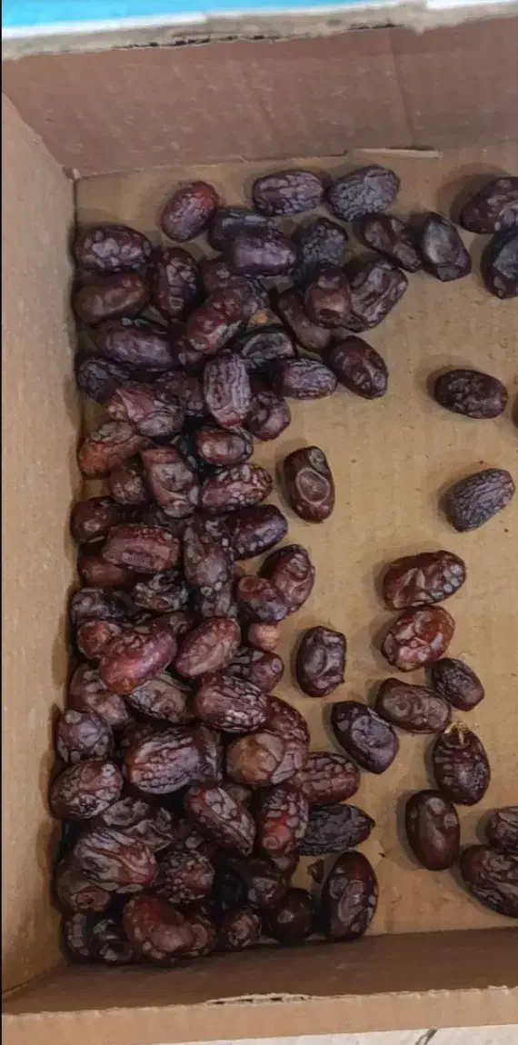 محلی باکیفیت|حراج|شهریار, شهریار|دیوار