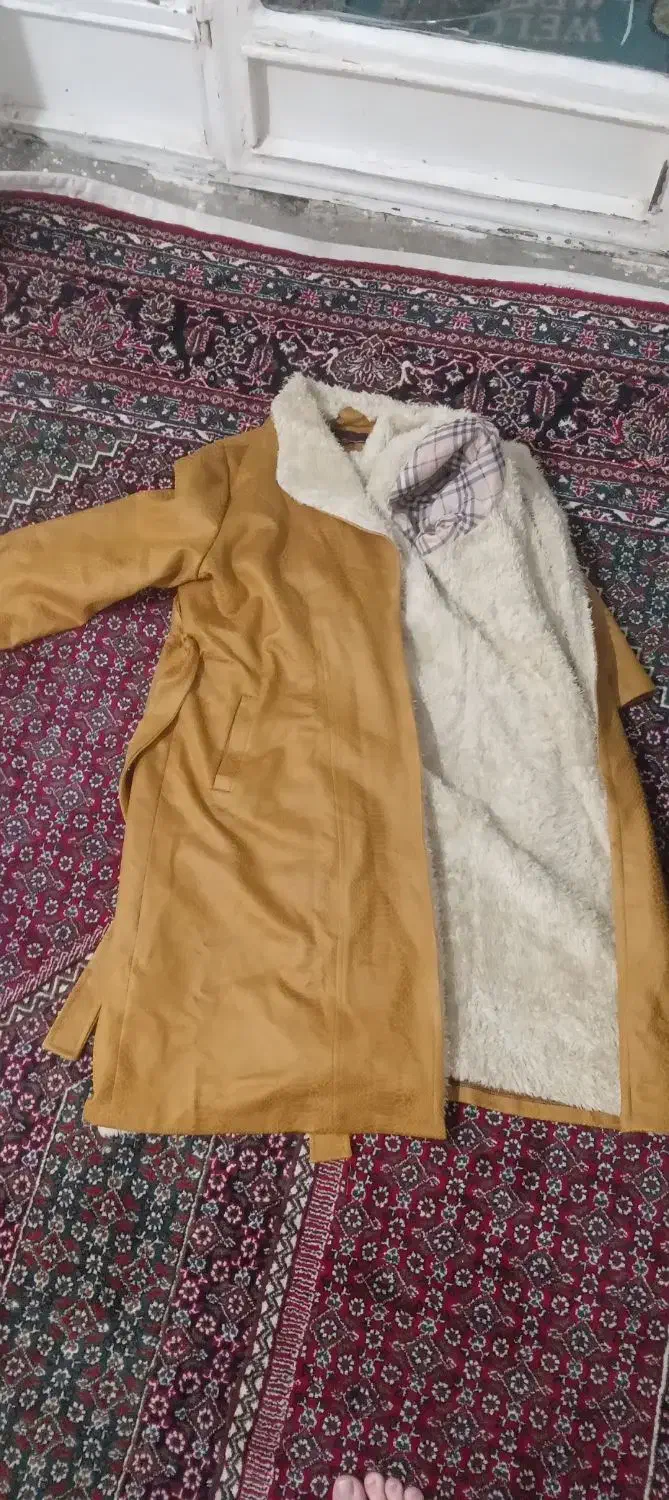 پالتو|لباس|سنندج, |دیوار