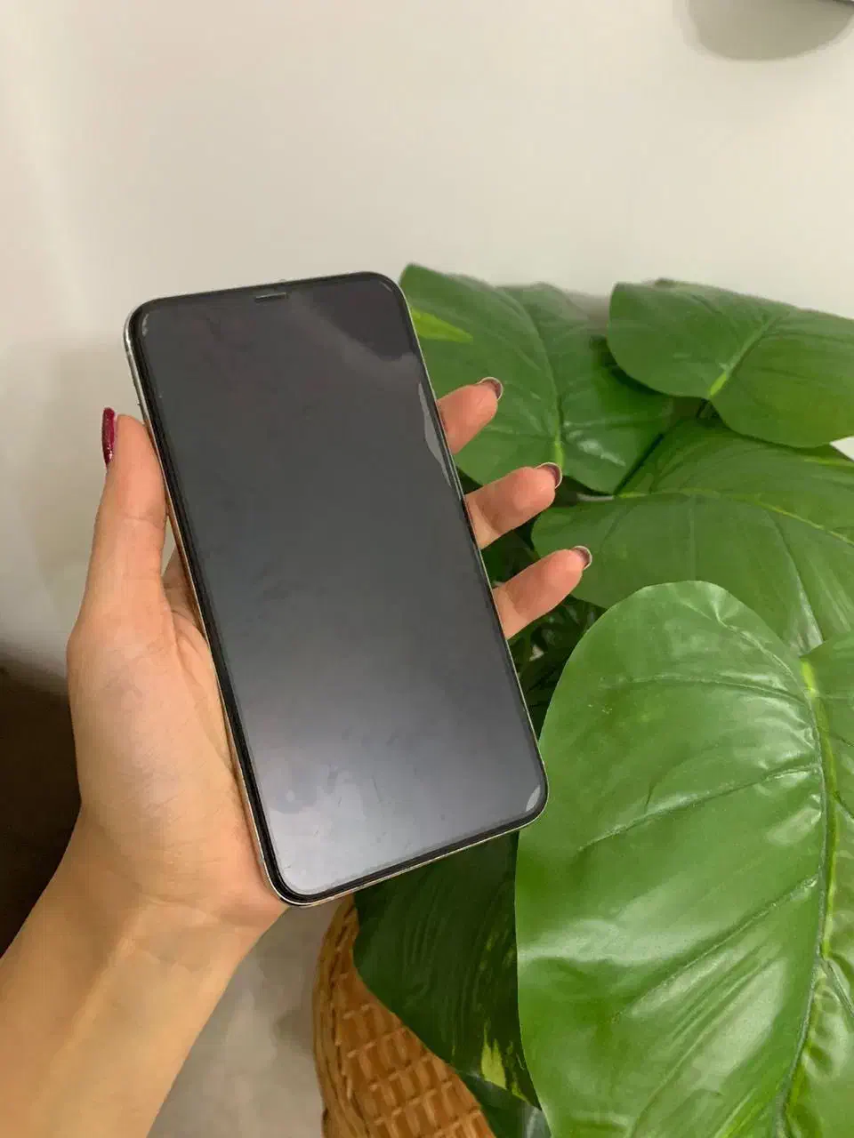 آیفون ۱۱ پرومکس تمیز و سالم|موبایل|رشت, دیانتی|دیوار