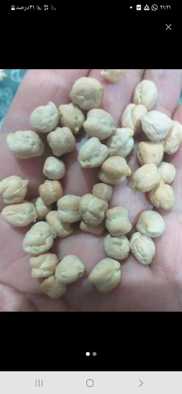 نخود|خوردنی و آشامیدنی|کاکاوند, |دیوار