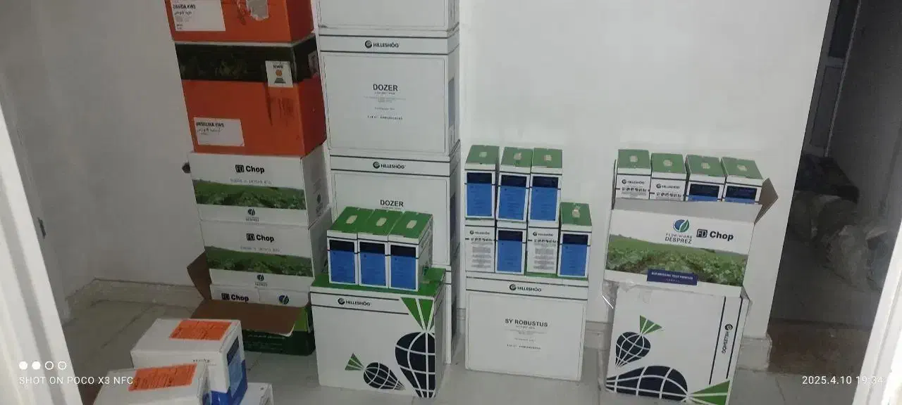 خرید و فروش بذر چغندر قند|خدمات باغبانی و درختکاری|پیرانشهر, |دیوار