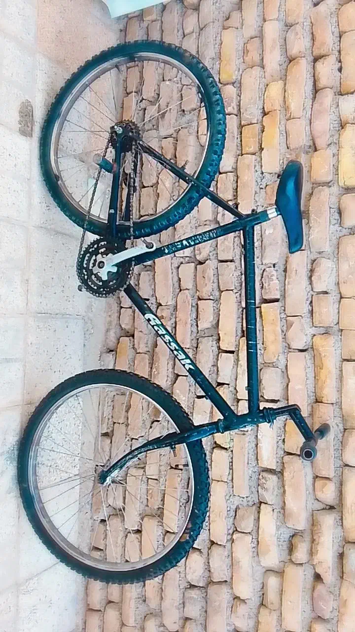 چرخ|دوچرخه، اسکیت، اسکوتر|فریمان, |دیوار