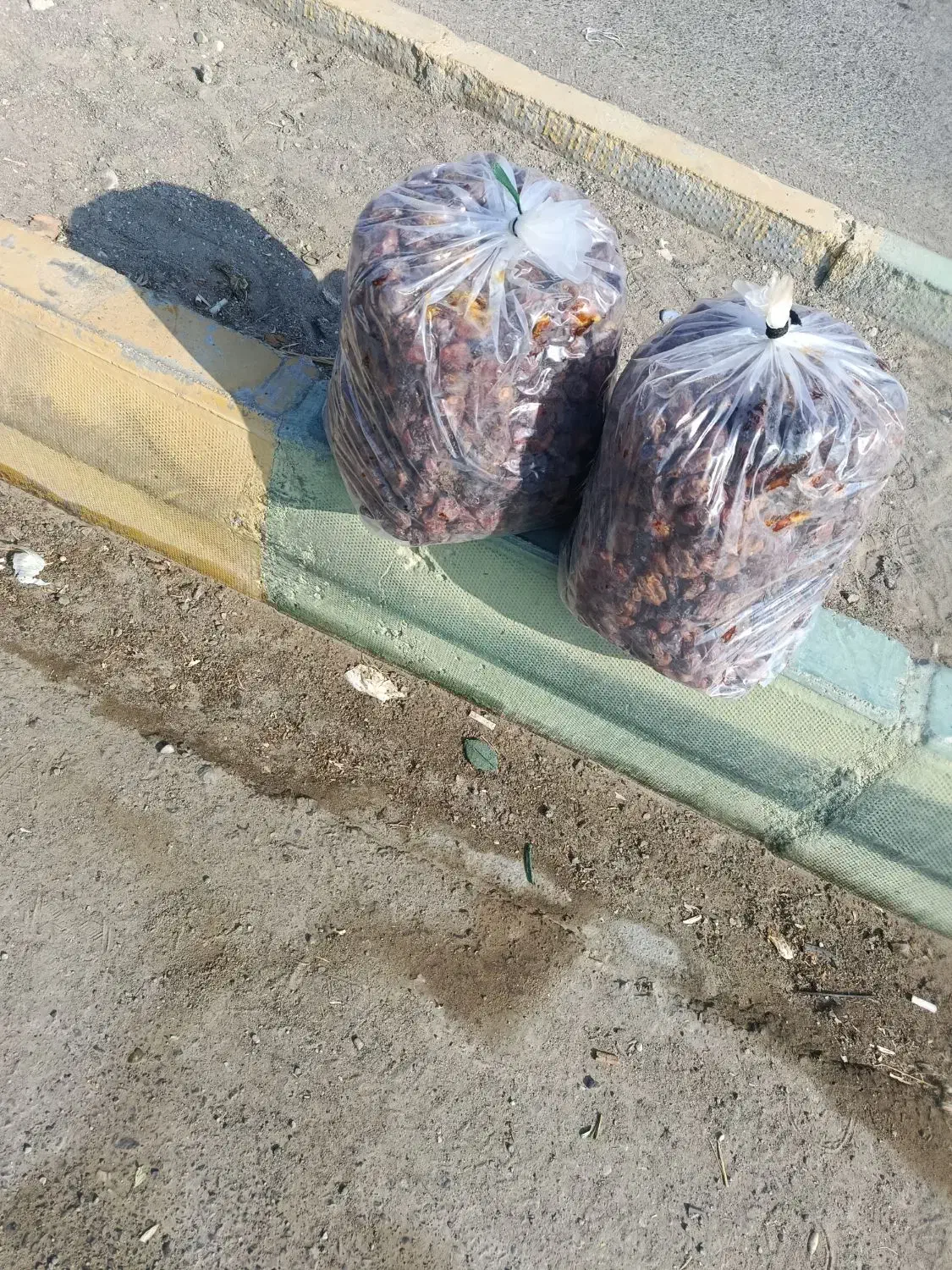 خرمای تازه و خوب|خوردنی و آشامیدنی|جاسک, |دیوار