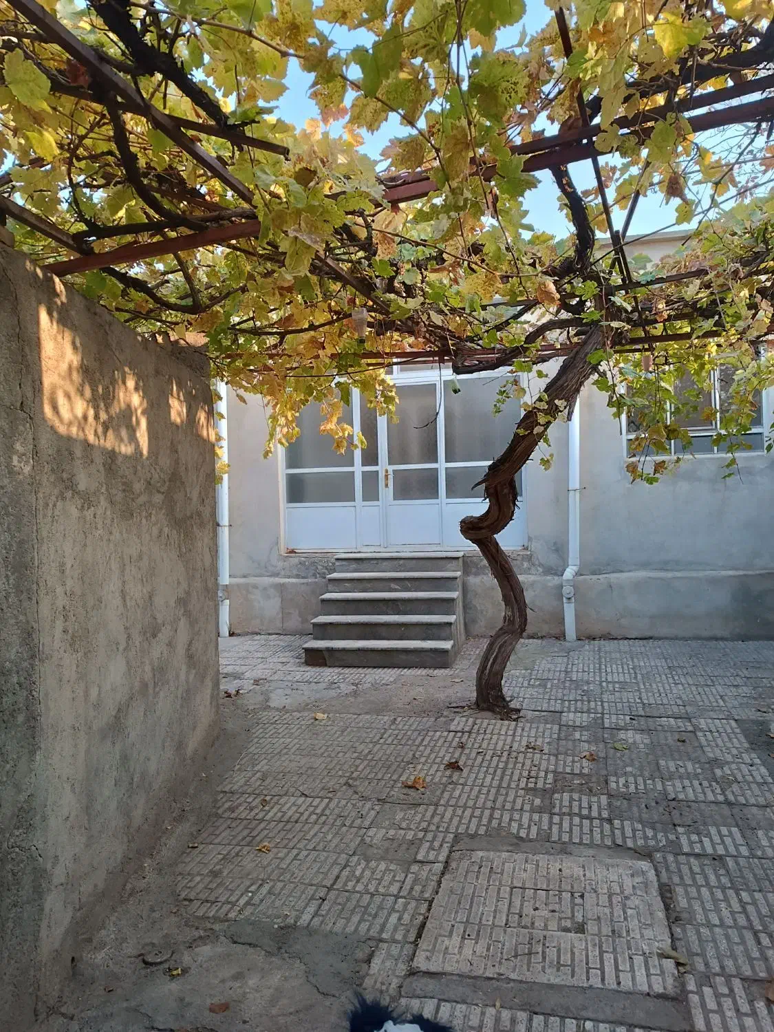 اجاره حیاط|اجارهٔ خانه و ویلا|جلفا, |دیوار