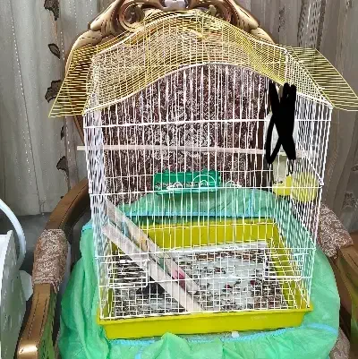 قفس عروس هلندی|لوازم جانبی حیوانات|شهرضا, |دیوار