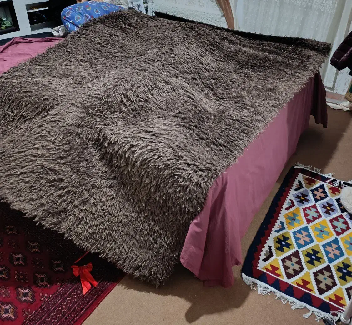 فرش پنبه ای|فرش|اردبیل, |دیوار