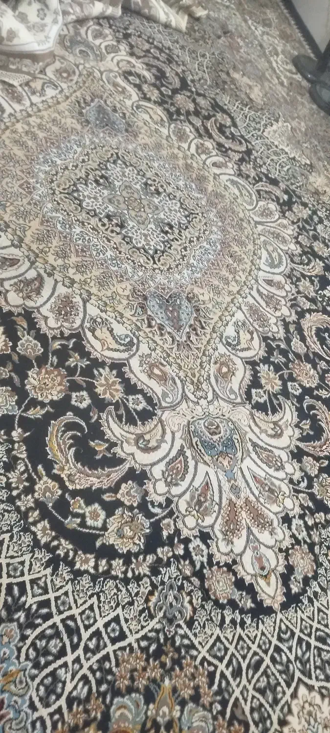 فرش 12 متری|فرش|مشهد, انصار|دیوار