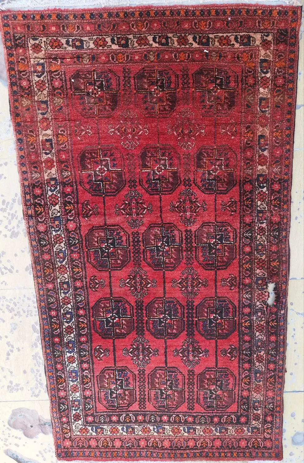 قالیچه دستبافت|فرش|مشهد, کوی المهدی|دیوار