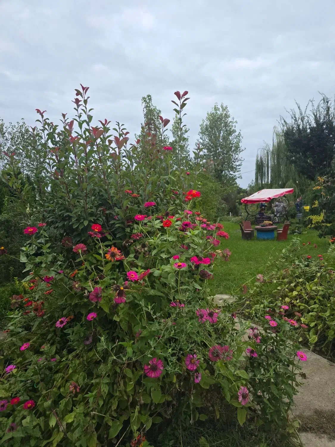 سرایداری|استخدام سرایداری و نظافت|رشت, شالکو|دیوار