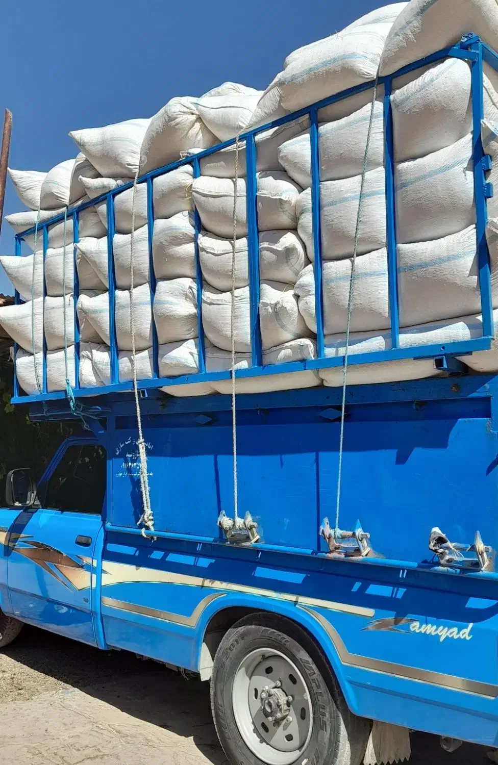 کاه سفید گندم درجه یک|لوازم جانبی حیوانات|کوهنانی, |دیوار