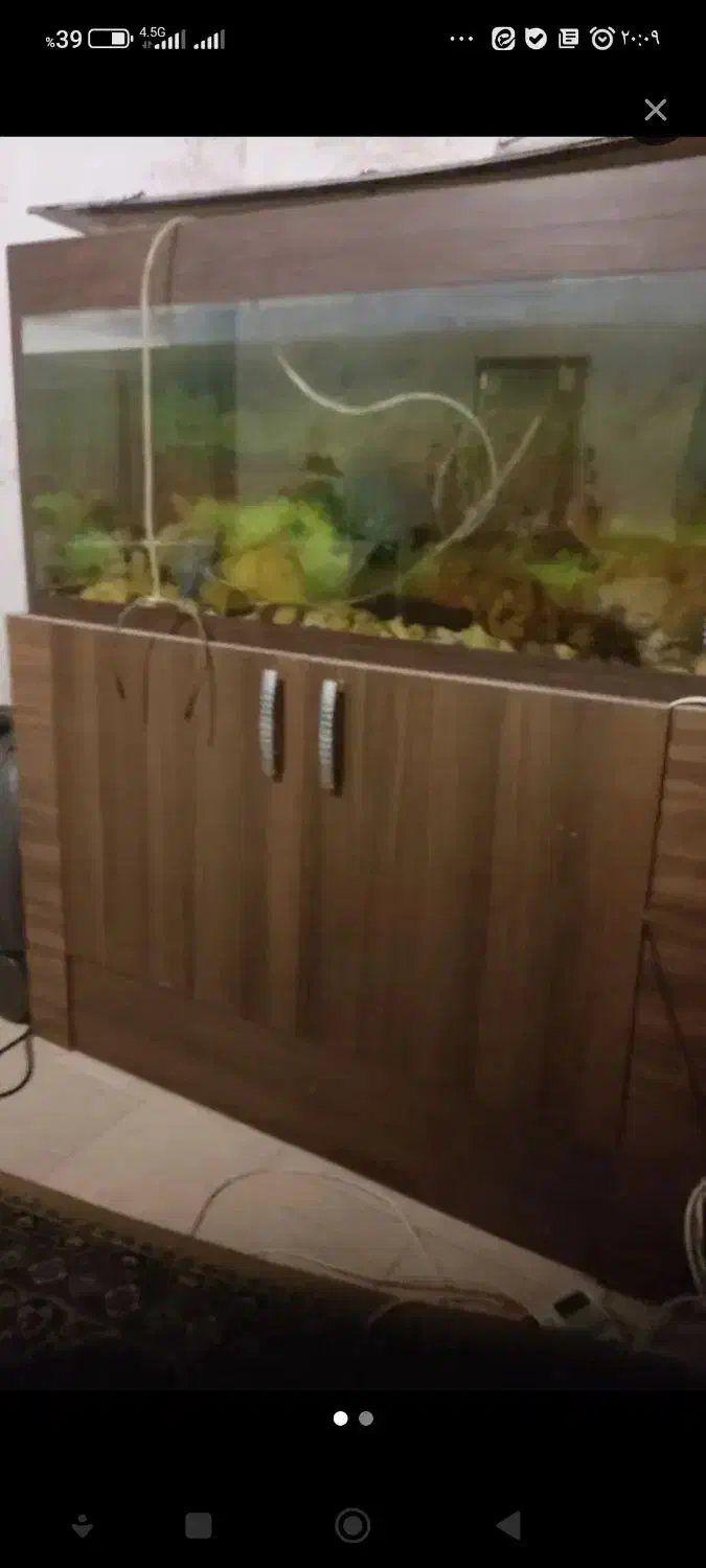 آکواریوم با کمد سالم|ماهی|مشهد, هدایت|دیوار