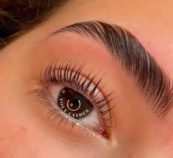 آموزش لیفت مژه و ابرو|خدمات آرایشگری و زیبایی|قم, ولیعصر|دیوار