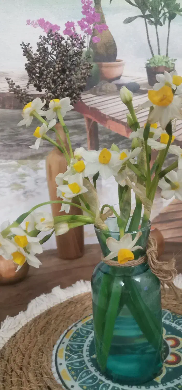 مرغ عشق|حیوانات|زرند, |دیوار